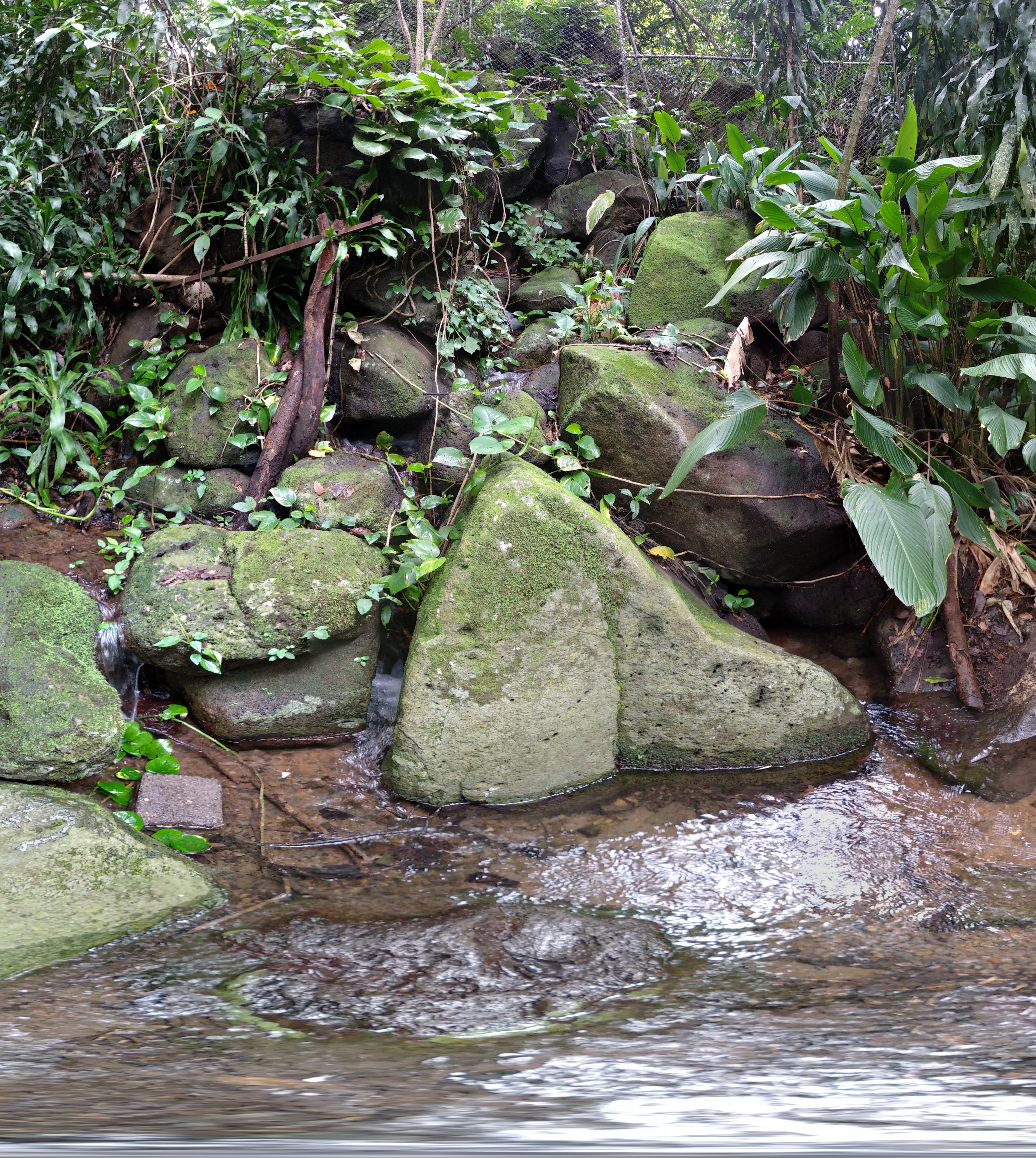 Naciente La Gruta