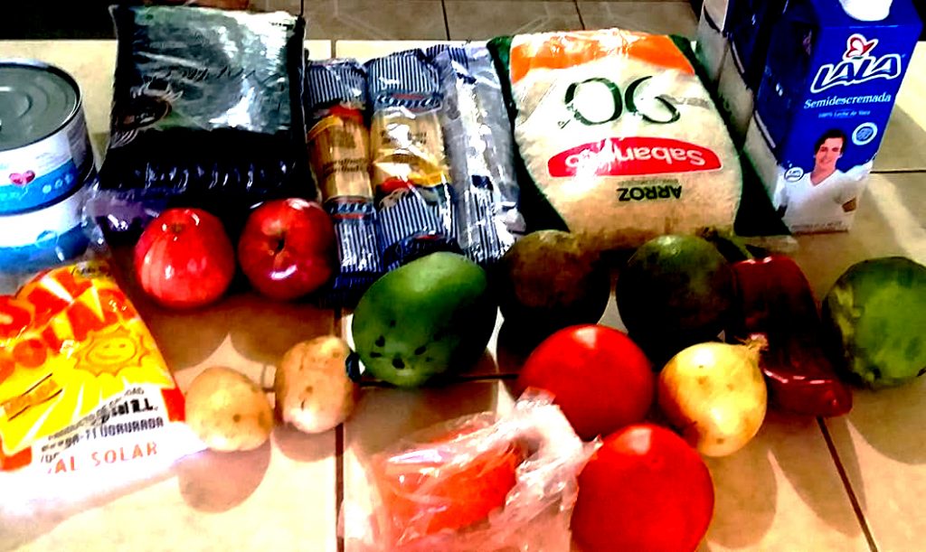 Estos son algunos de los alimentos que incluye el paquete. Foto por Cinthia Elena González Valerio