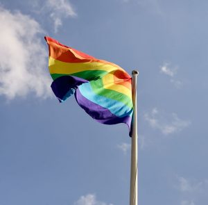 En el 2018, la Corte Interamericana de Derechos Humanos determinó que las parejas homosexuales tiene los mismos derechos de matrimonio que aquellas del mismo sexo.