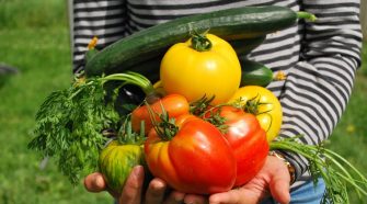 El hambre ha mantenido una prevalencia cercana al 7 % en la región latinoamericana.
