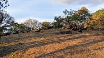“El Santuario”, nombrado así por la comunidad, se convertiría en el primer Parque Natural Urbano de Belén.