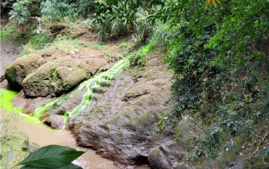 Sitio donde se identificó la descarga de aguas residuales en el río Bermúdez que provienen del Residencial Los Arcos, por el sector de Cariari. Foto cortesía de Municipalidad de Belén.