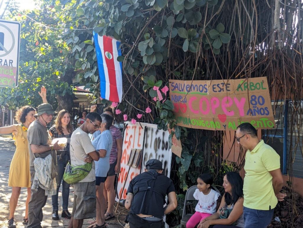 Durante el viernes 15 y sábado 16 de marzo, decenas de vecinos participaron en una protesta pacífica para evitar la corta del árbol.