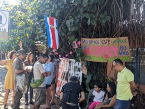 Durante el viernes 15 y sábado 16 de marzo, decenas de vecinos participaron en una protesta pacífica para evitar la corta del árbol.