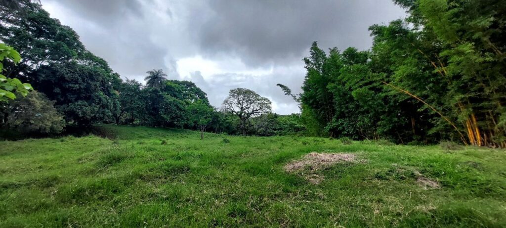 El motivo de la consulta de constitucionalidad se basó en una solicitud de modificación de la zonificación que afecta el inmueble donde se construiría el proyecto urbanístico Lagos de Belén. Foto de Roberto Rodríguez Sánchez.