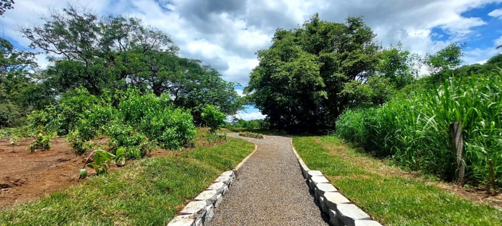 Acceso principal al Parque Natural El Santuario - La Fuente. Foto: Roberto Rodríguez Sánchez.