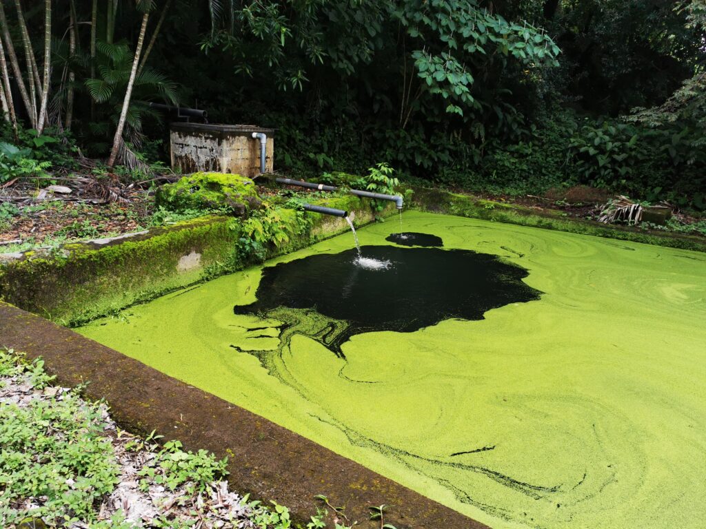 Un estudio realizado determinó varias nacientes sin documentar en lel sector de la antigua Aquamanía. Foto: archivo.