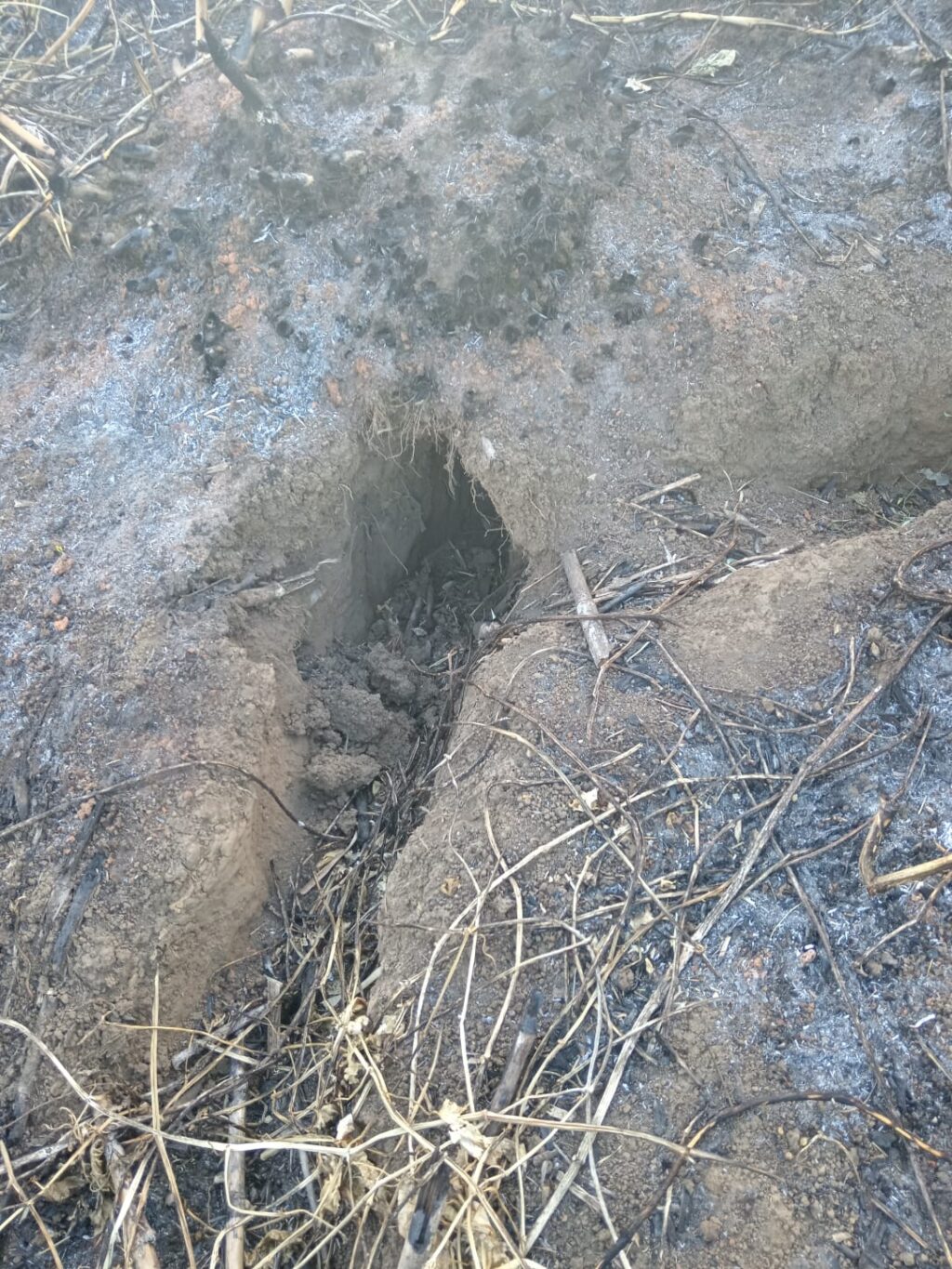 Según relataron vecinos, los cazadores hacen quemas para sacar a los animales de las cuevas. Foto: Victor Julio Gonzalez Cordero.