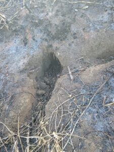 Según relataron vecinos, los cazadores hacen quemas para sacar a los animales de las cuevas. Foto: Victor Julio Gonzalez Cordero.