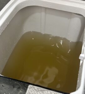 Agua sucia colectada por vecinos. Foto cortesía.