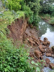 Por un lado, el informe municipal indicó que la erosión se debe a un efecto del río y que el Centro Comercial cumplió con la normativa. Por el otro, el regidor Sigifredo Villegas destacó que desde el inicio no se cumplió con el retiro de ley. Foto: Sigifredo Villegas Villalobos.