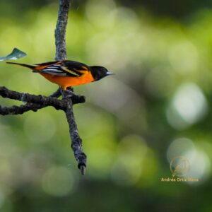 WhatsApp Image 2025-10-04 at 4.15.35 PM