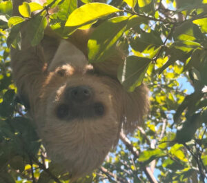 photo_2025-12-29_14-13-52