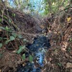 Quebrada del Humedal vuelve al centro del debate por denuncias de contaminación