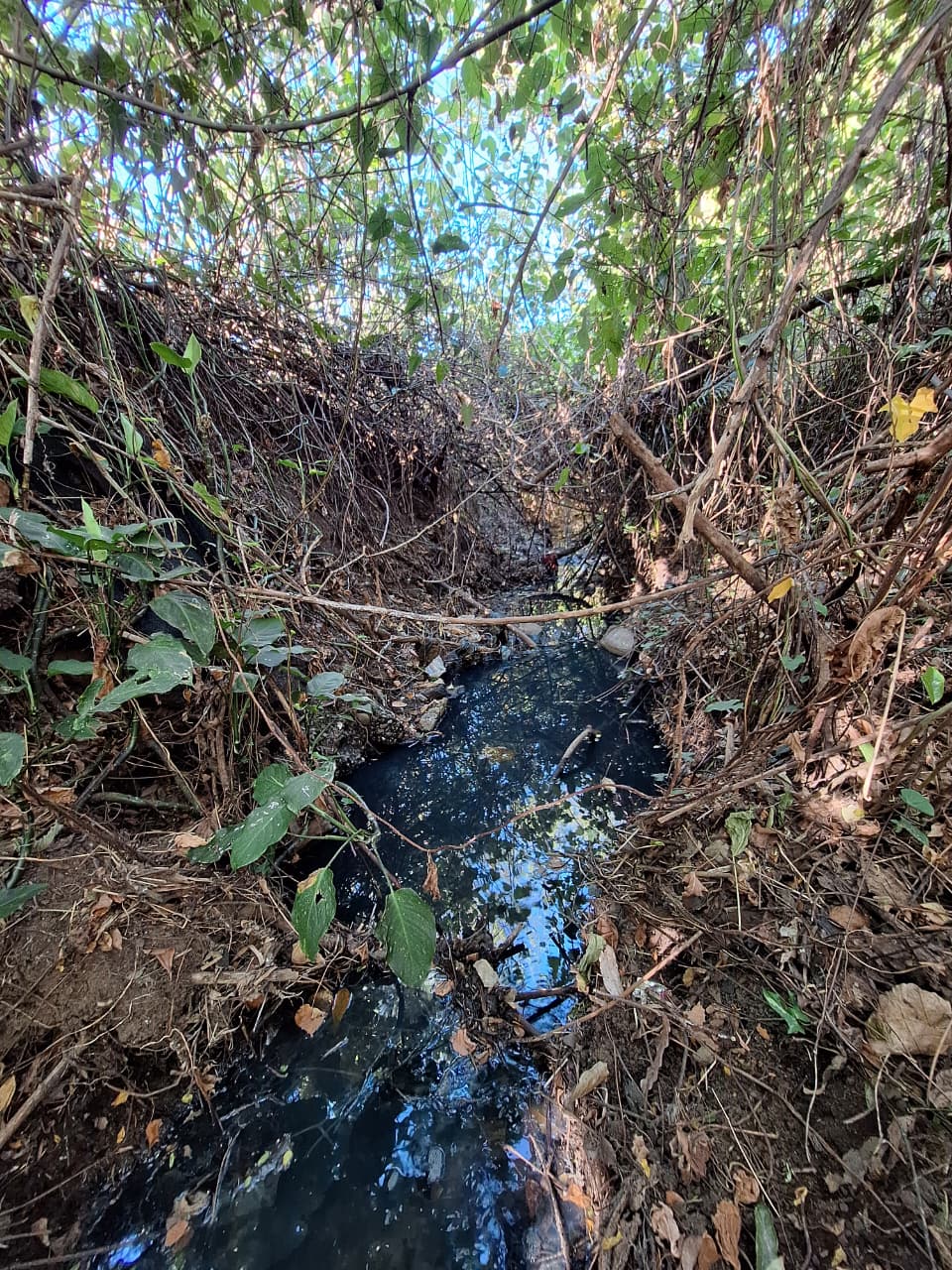 Fotografía de la Quebrad del Humedal en días recientes de marzo, se observa profundamente negra, sin vida y con un olor pestilente.