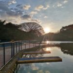 Aprobado en comisión proyecto que permitiría declarar Monumento Natural al Ojo de Agua y Parque Natural Urbano a El Santuario