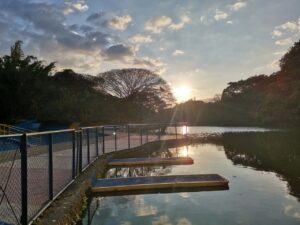 IMG_20260414_160005_475