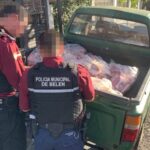 Decomisan carne sin permisos sanitarios ni etiquetado en Belén