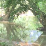 Río Segundo es el más limpio de Belén y el Bermúdez el más contaminado