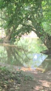 Orillas del Río Segundo.
