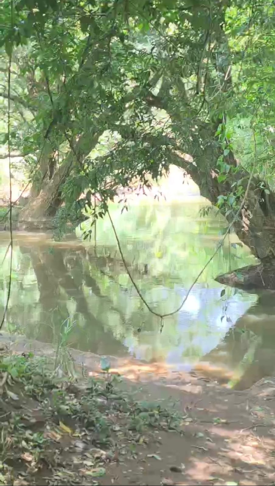 Orillas del Río Segundo.